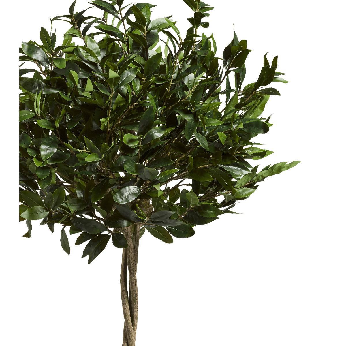 OKA, Large Faux Bay Tree - Green, Potted Trees, Iron/Plastic – image 3