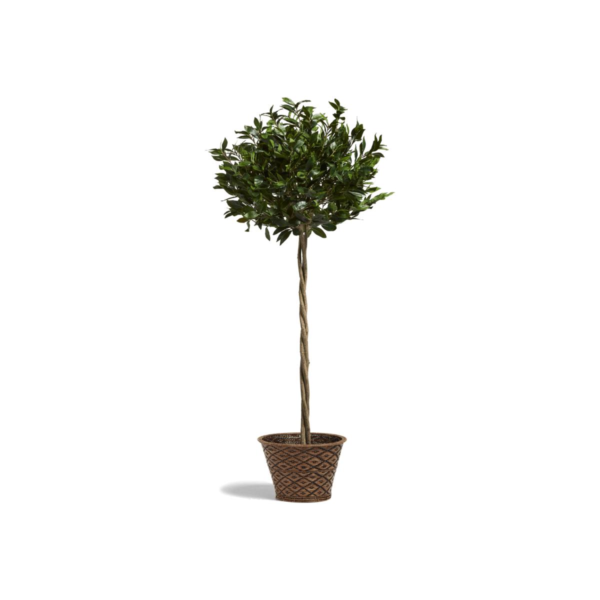 OKA, Large Faux Bay Tree - Green, Potted Trees, Iron/Plastic – image 1