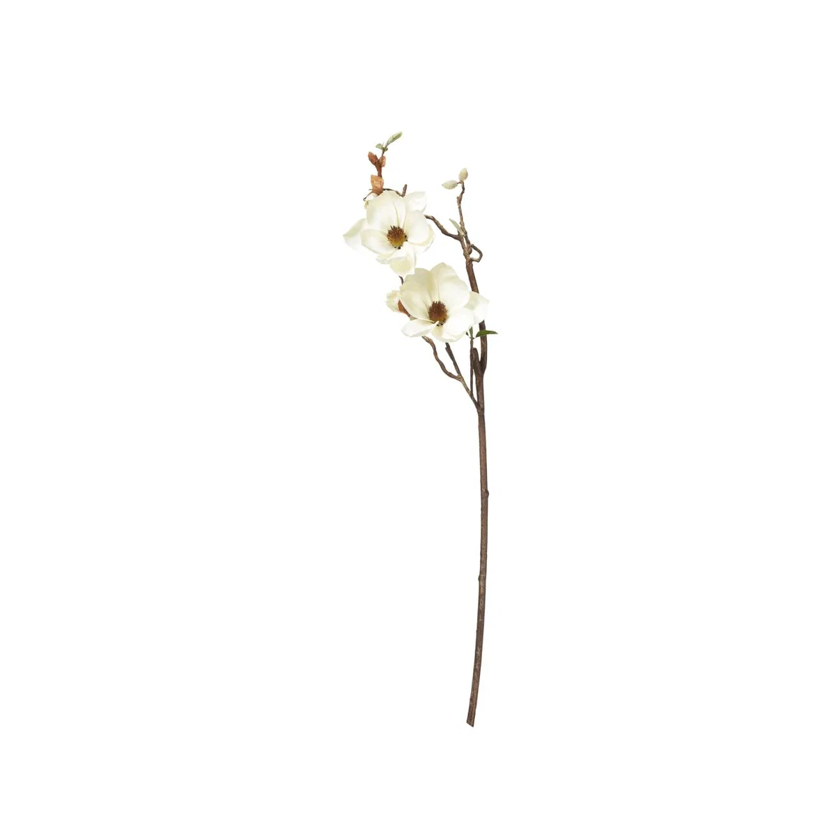 OKA, Faux Magnolia Branch - Cream, Floral Stems, Fabric/Plastic – image 1