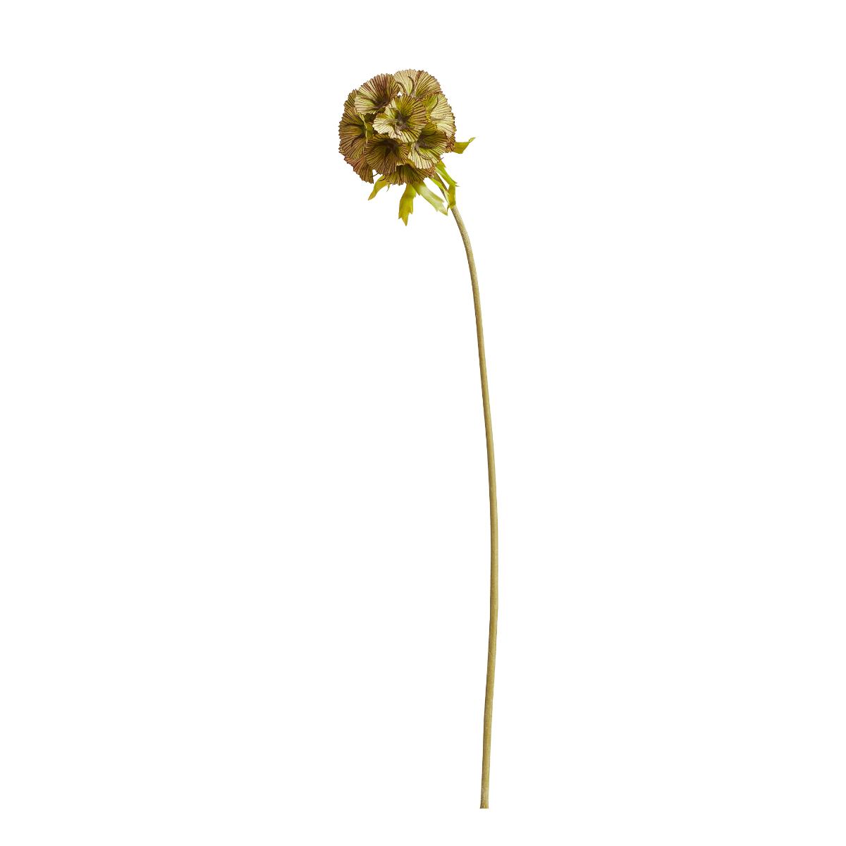 OKA, Faux Auricula Stem - Green, Floral Stems, Plastic – image 2