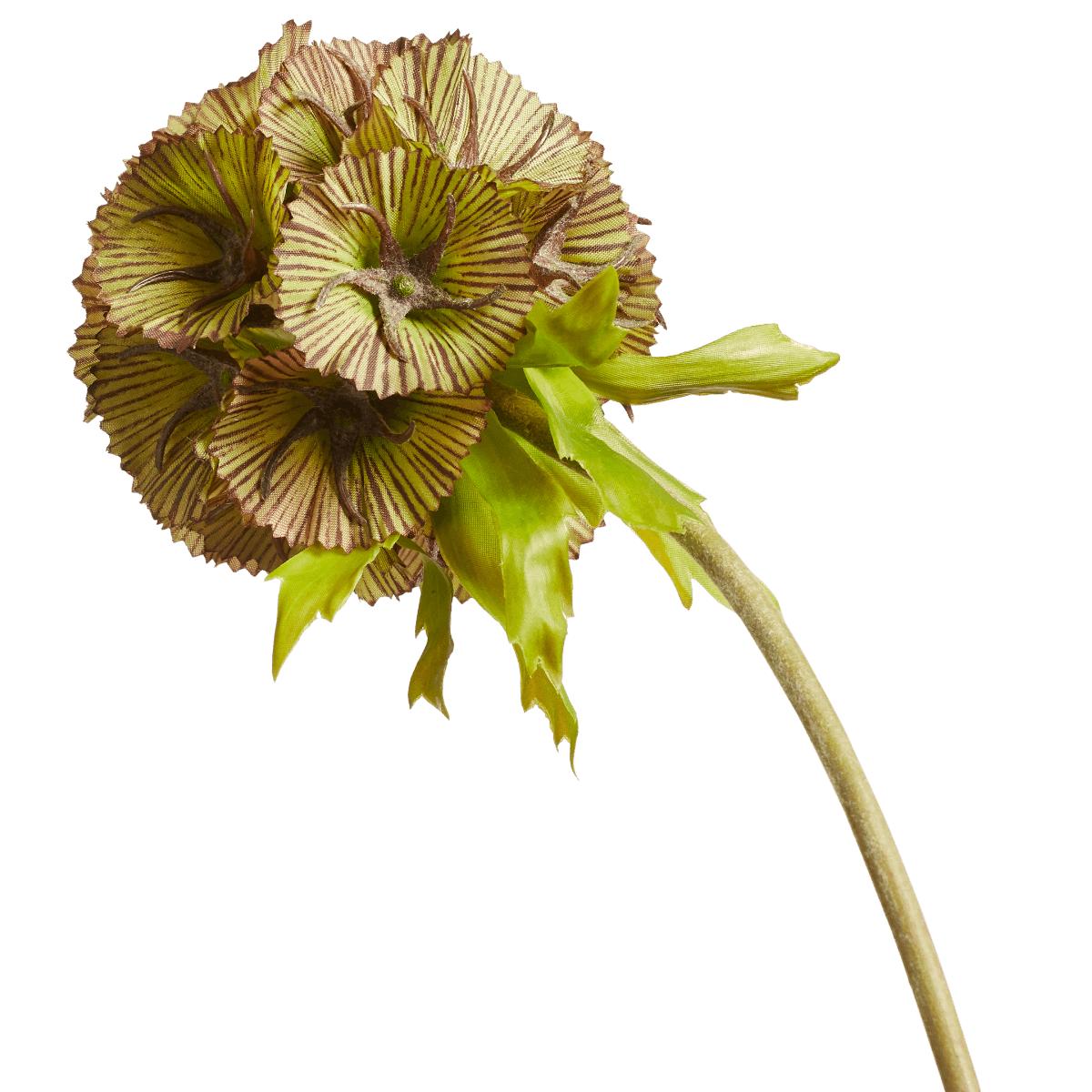 OKA, Faux Auricula Stem - Green, Floral Stems, Plastic – image 3