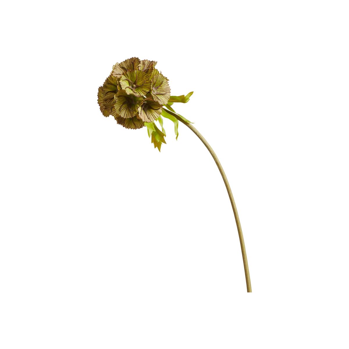 OKA, Faux Auricula Stem - Green, Floral Stems, Plastic – image 1