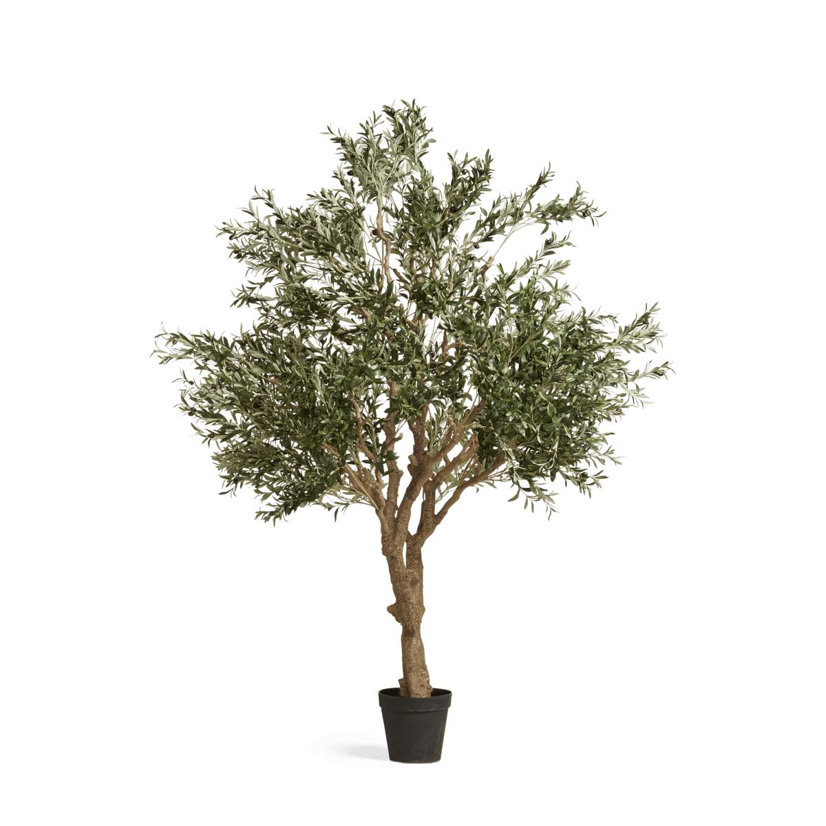 OKA, Faux Potted Olive Tree, Extra Large - Black, Potted Trees, Fabric/Iron/Plastic – image 2