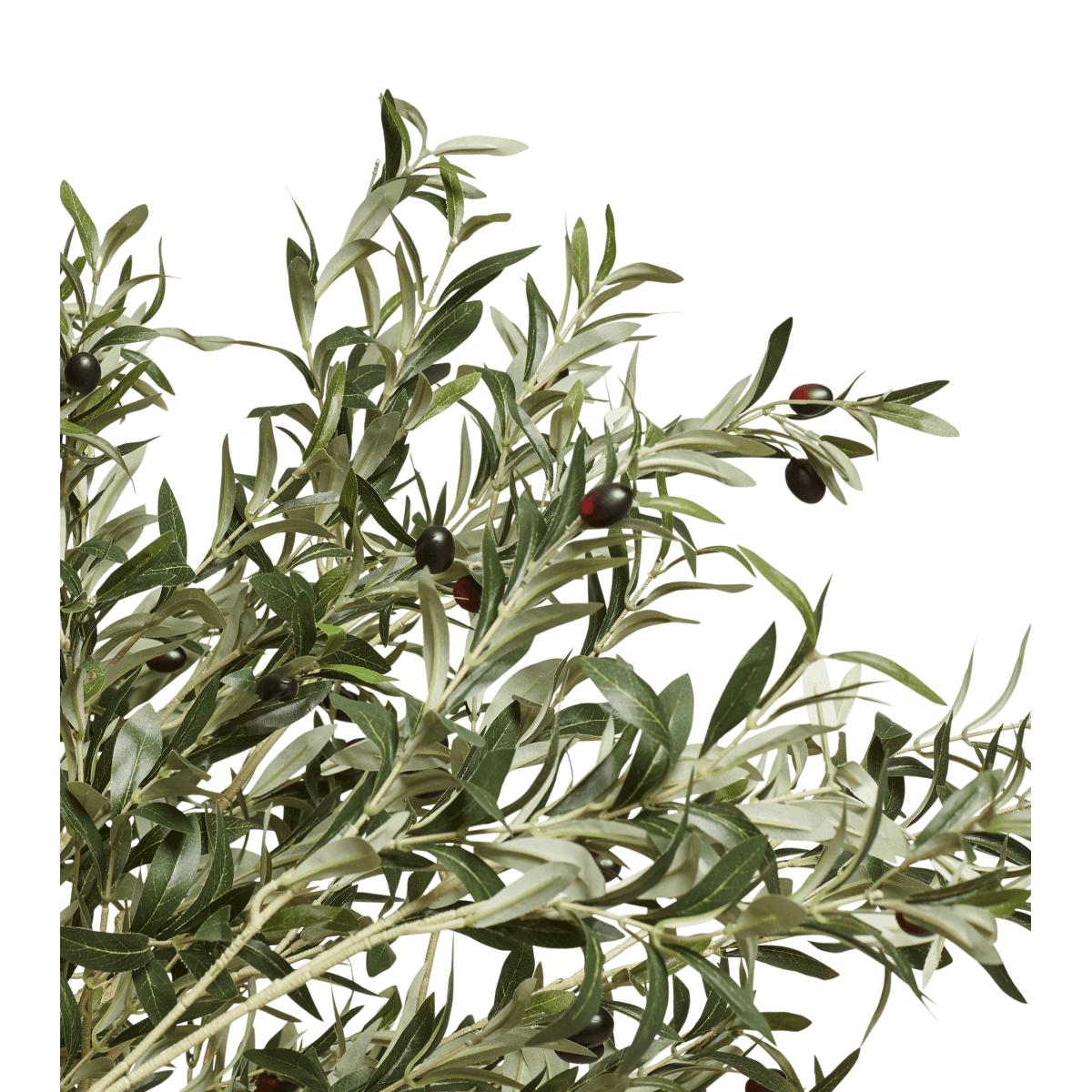 OKA, Faux Potted Olive Tree, Extra Large - Black, Potted Trees, Fabric/Iron/Plastic – image 5