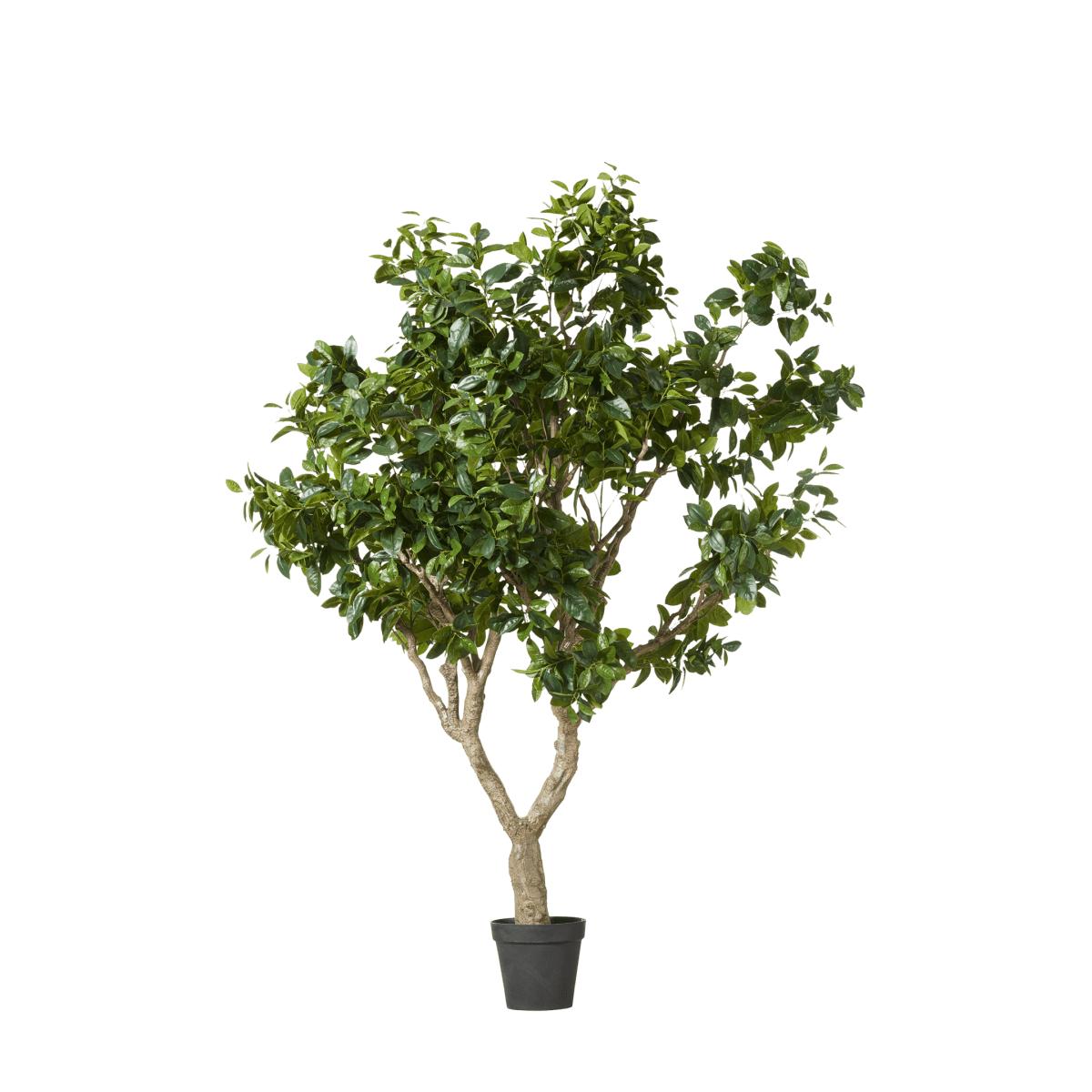 OKA, Extra Large Faux Fiddle Tree - Green, Potted Trees, Plastic – image 4