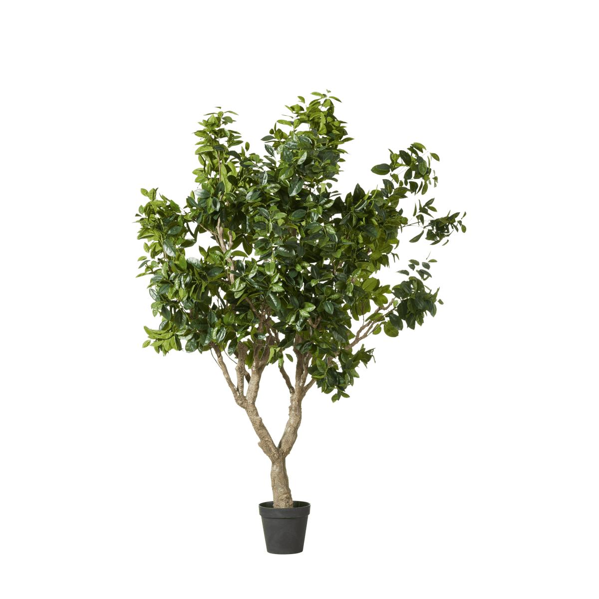 OKA, Extra Large Faux Fiddle Tree - Green, Potted Trees, Plastic – image 5