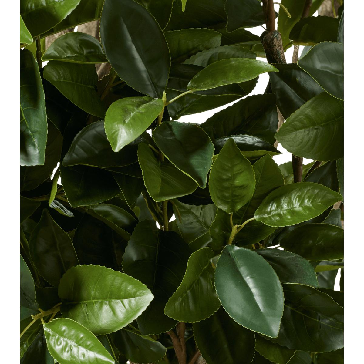 OKA, Extra Large Faux Fiddle Tree - Green, Potted Trees, Plastic – image 6