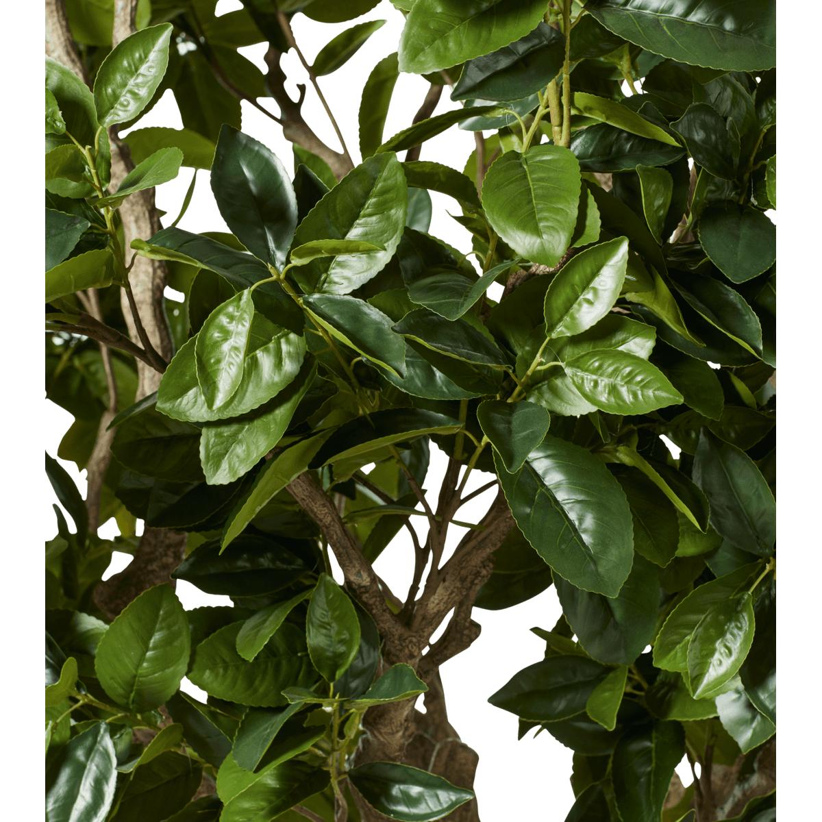 OKA, Extra Large Faux Fiddle Tree - Green, Potted Trees, Plastic – image 7