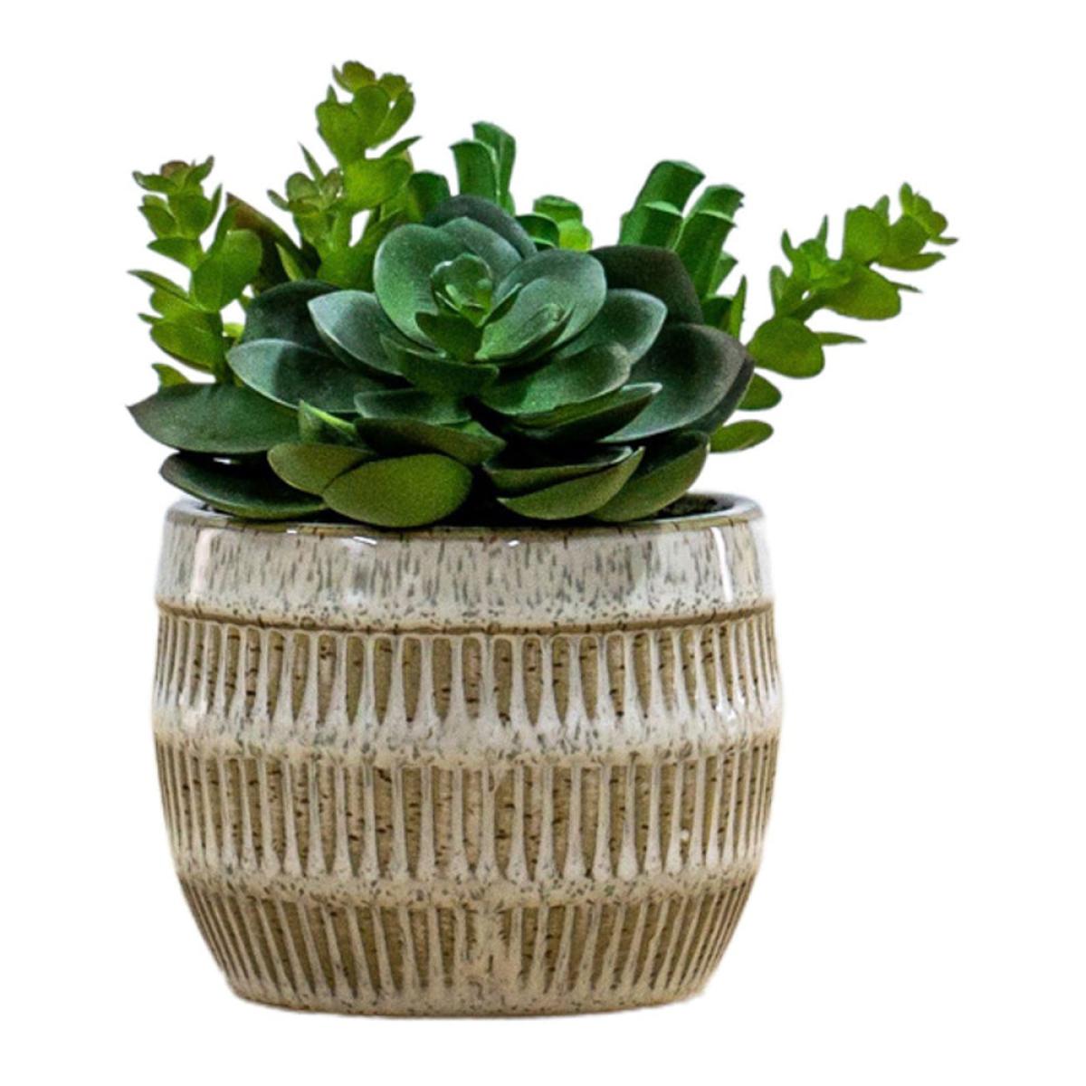Gallery Interiors Lucina Potted Succulents Faux Plant Brown And Green / Small – image 2