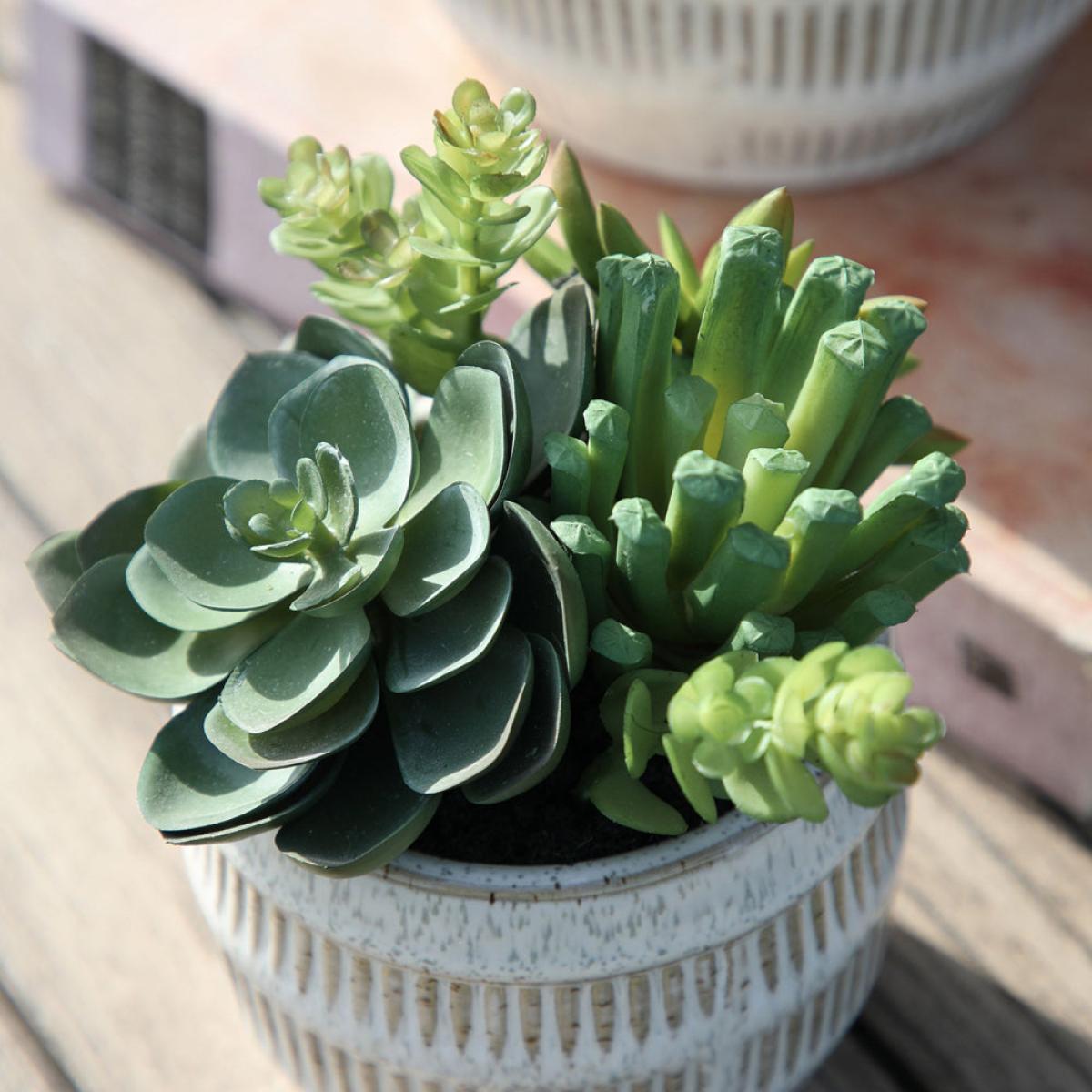 Gallery Interiors Lucina Potted Succulents Faux Plant Brown And Green / Small – image 3