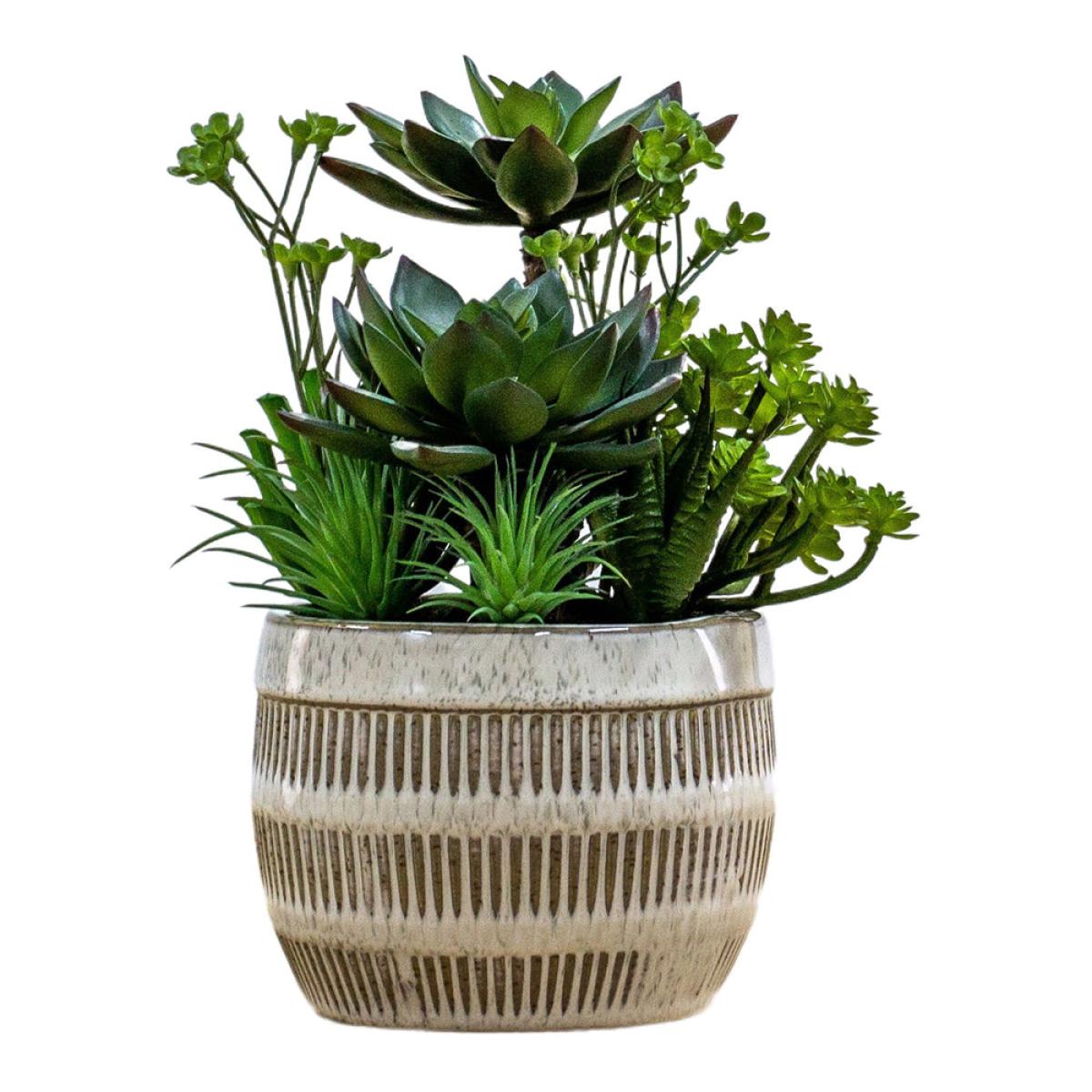 Gallery Interiors Lucina Potted Succulents Faux Plant Brown And Green / Small – image 4