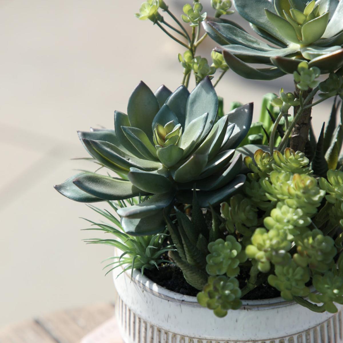 Gallery Interiors Lucina Potted Succulents Faux Plant Brown And Green / Small – image 5