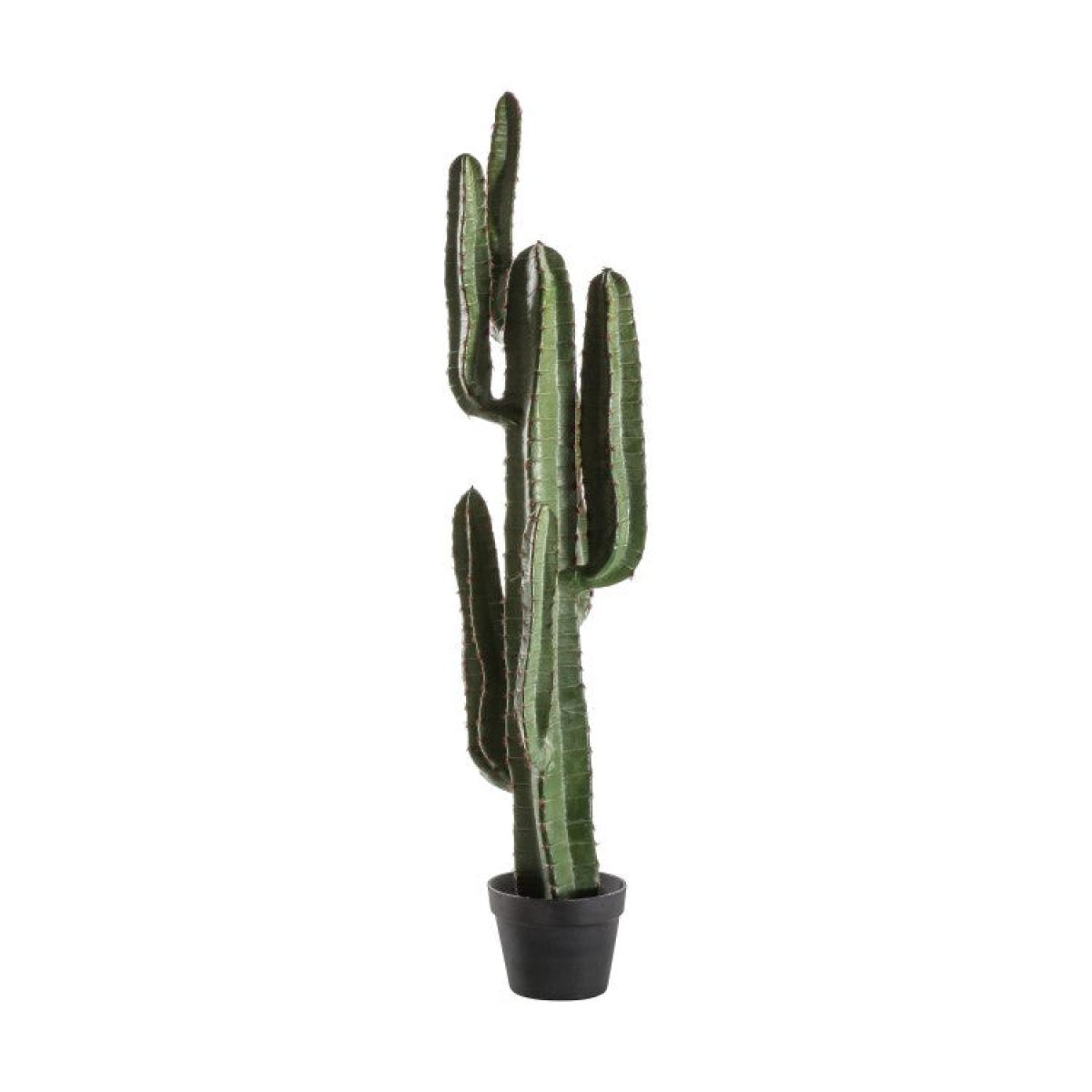Gallery Direct Desert Black Cactus / Small – image 2