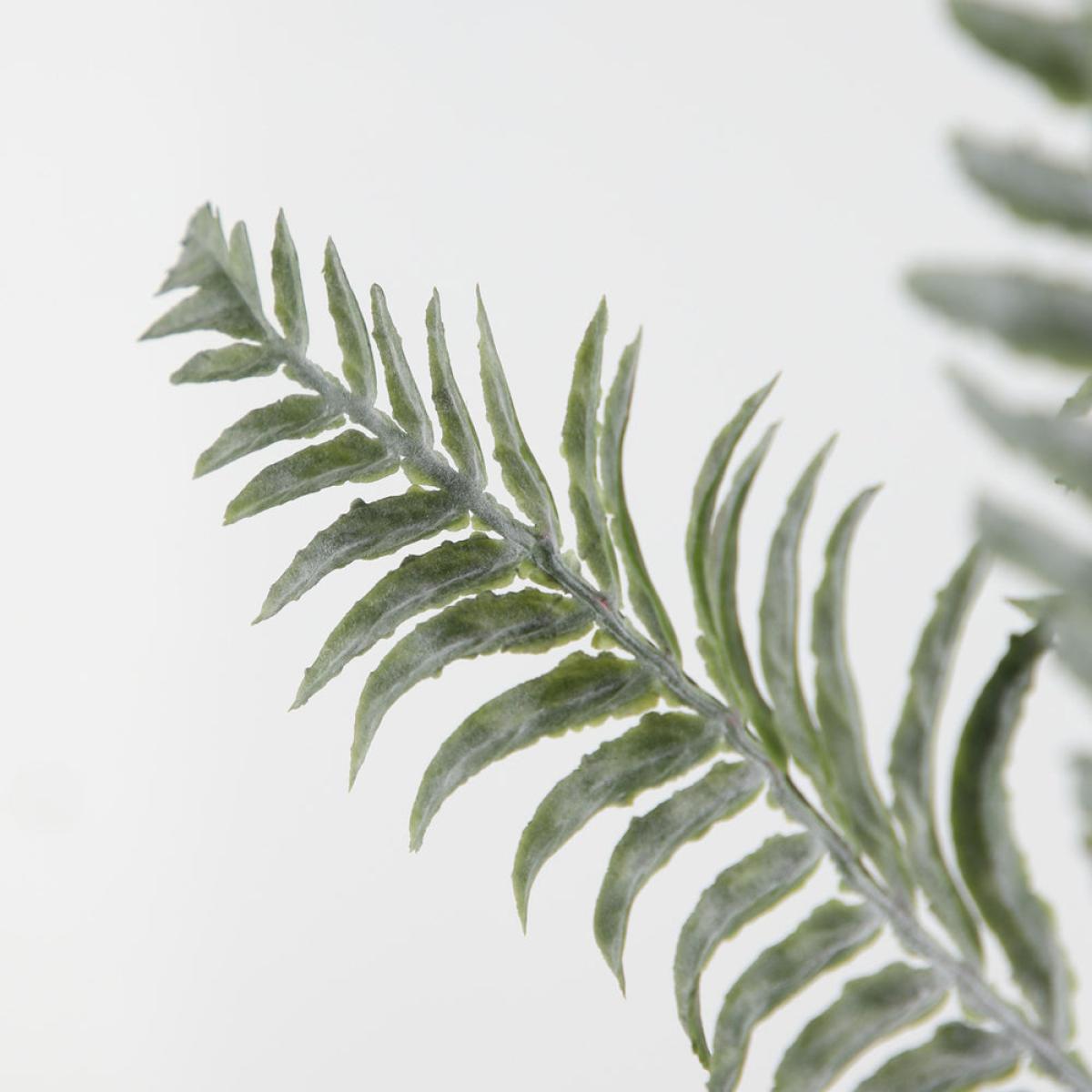 Gallery Interiors Set of 6 Omari Silver Fern Bush Spray – image 3