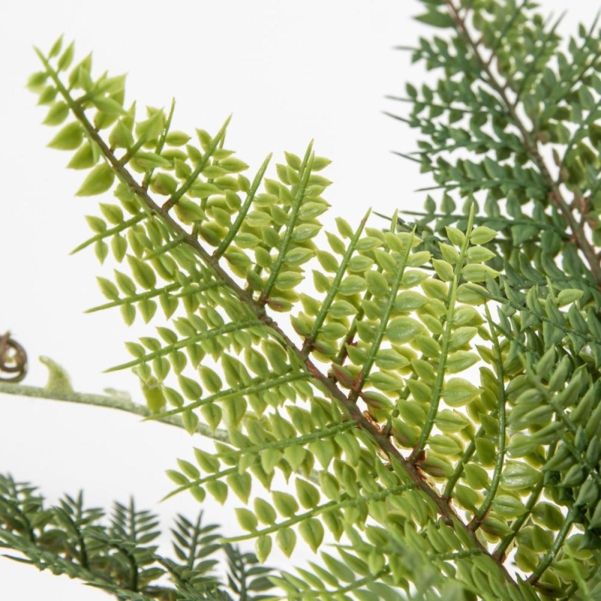 Gallery Interiors Elidi Bracken Faux Plant Green – image 3