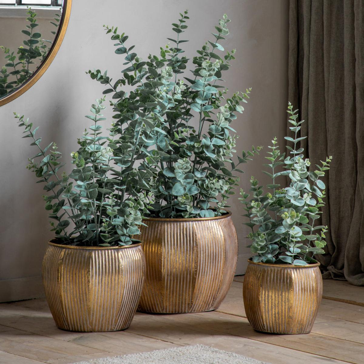 Gallery Interiors Potted Eucalyptus Bush Green Large – image 2