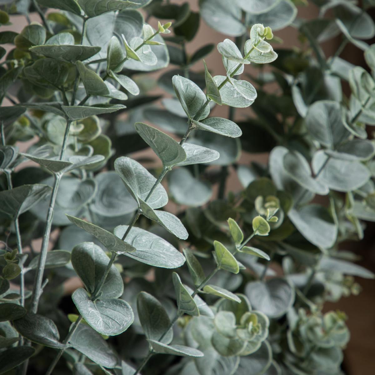 Gallery Interiors Potted Eucalyptus Bush Green Large – image 3