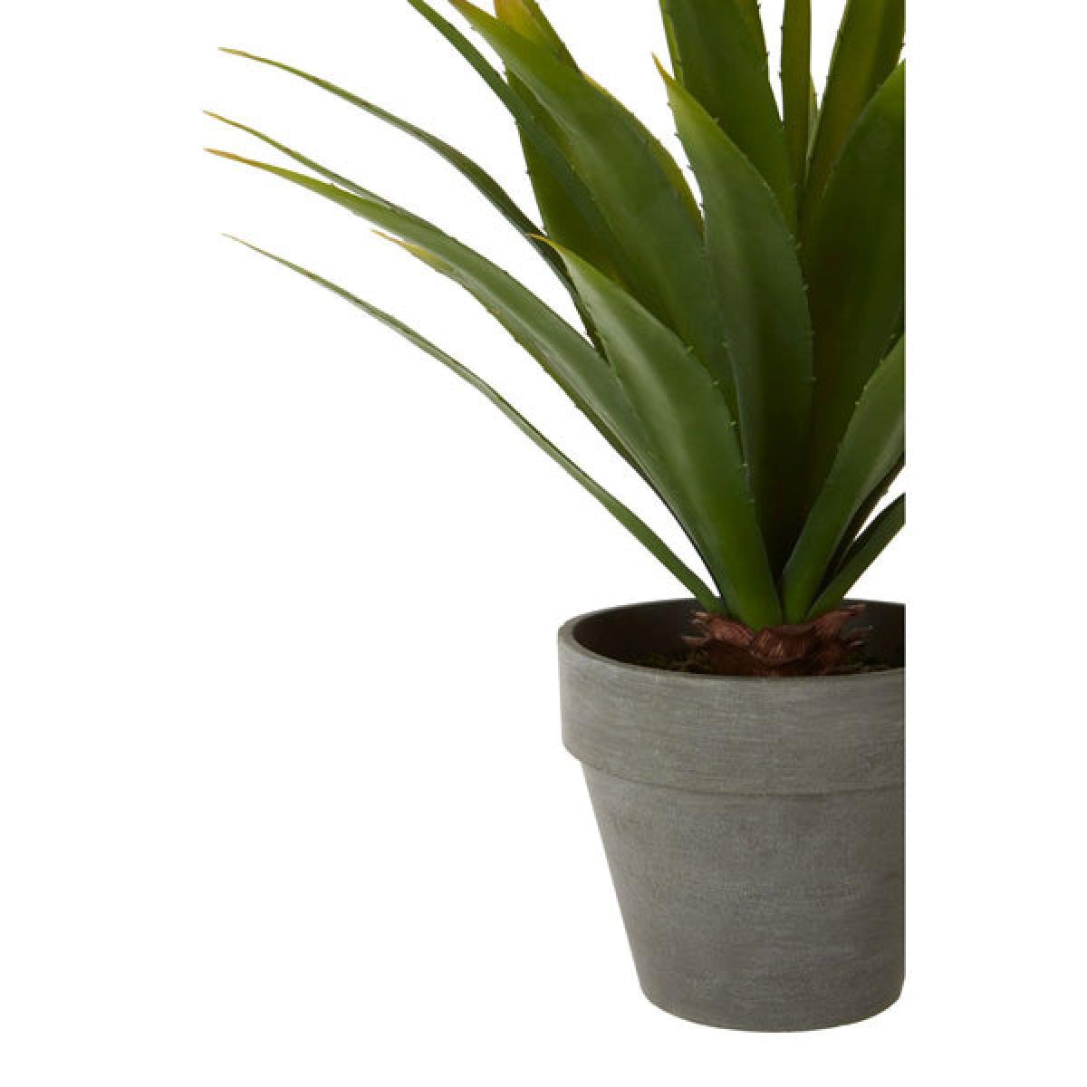 Olivia's Freda Planter Succulent Agave – image 3