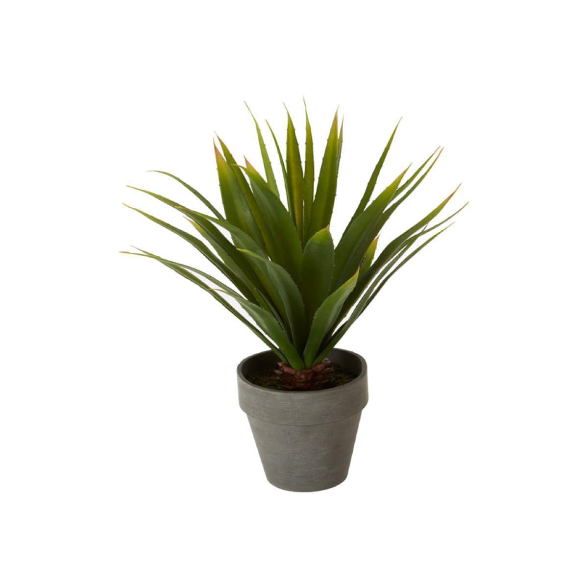 Olivia's Freda Planter Succulent Agave – image 1