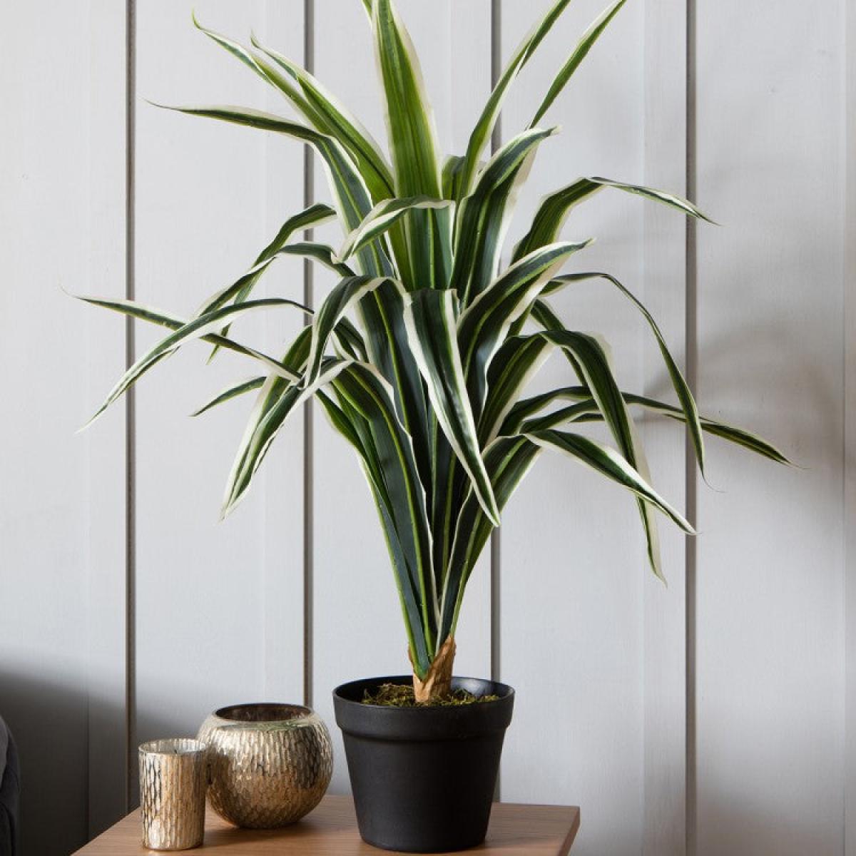 Gallery Direct Faux Dracaena