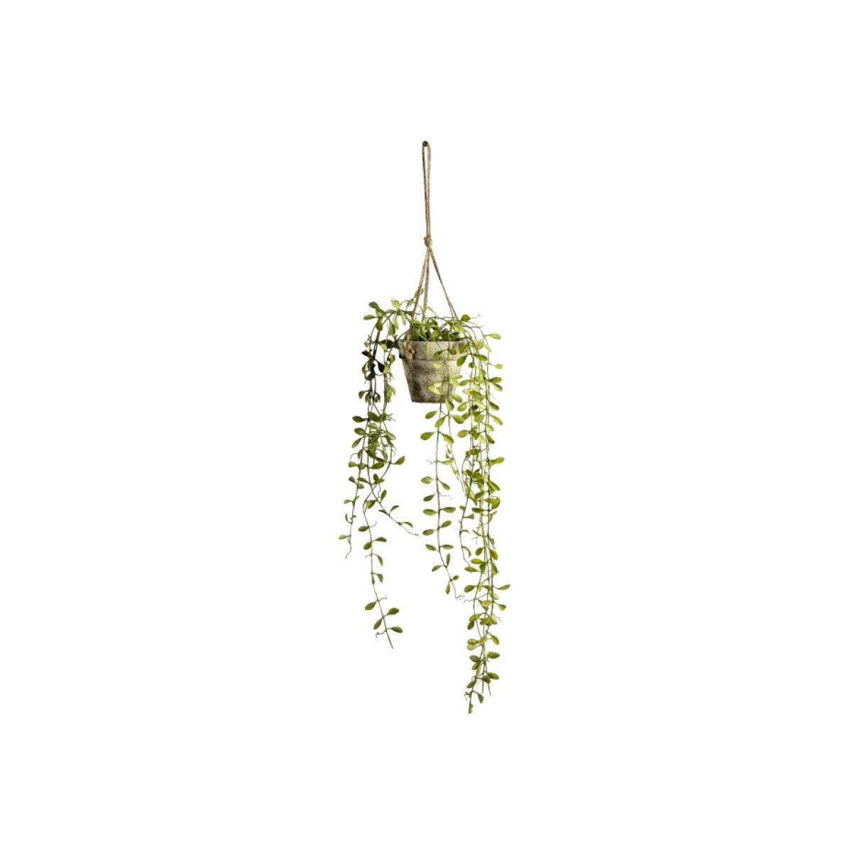 Gallery Interiors Hanging Boxwood With Rustic Pot