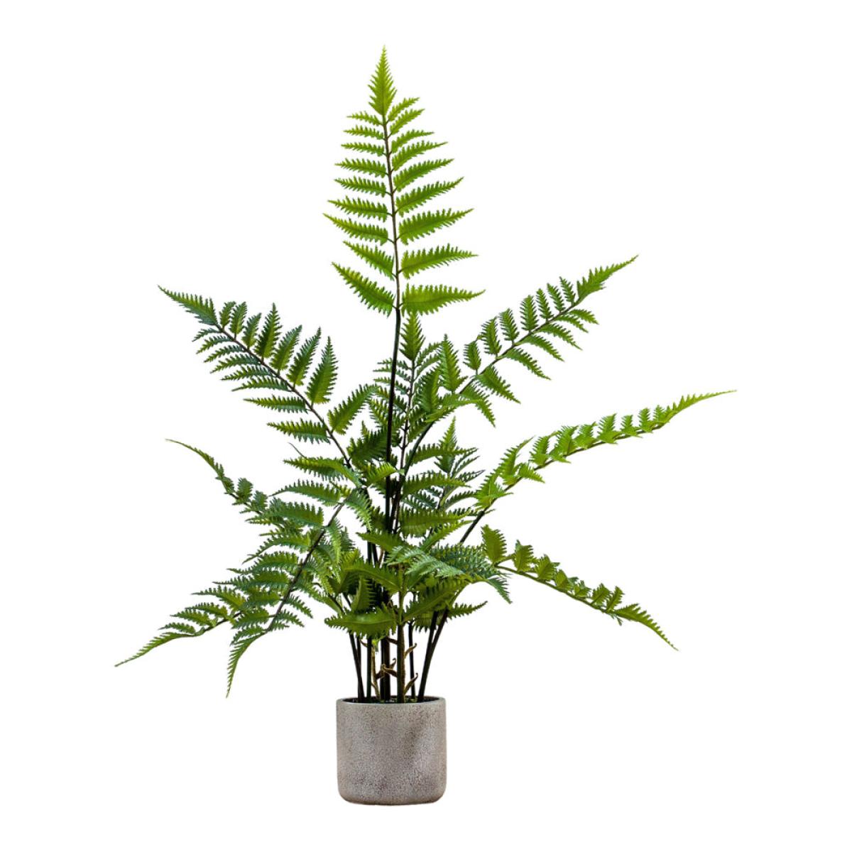 Gallery Interiors Kambiz Potted Fern in Cement Faux Plant Cream And Green / Small – image 2