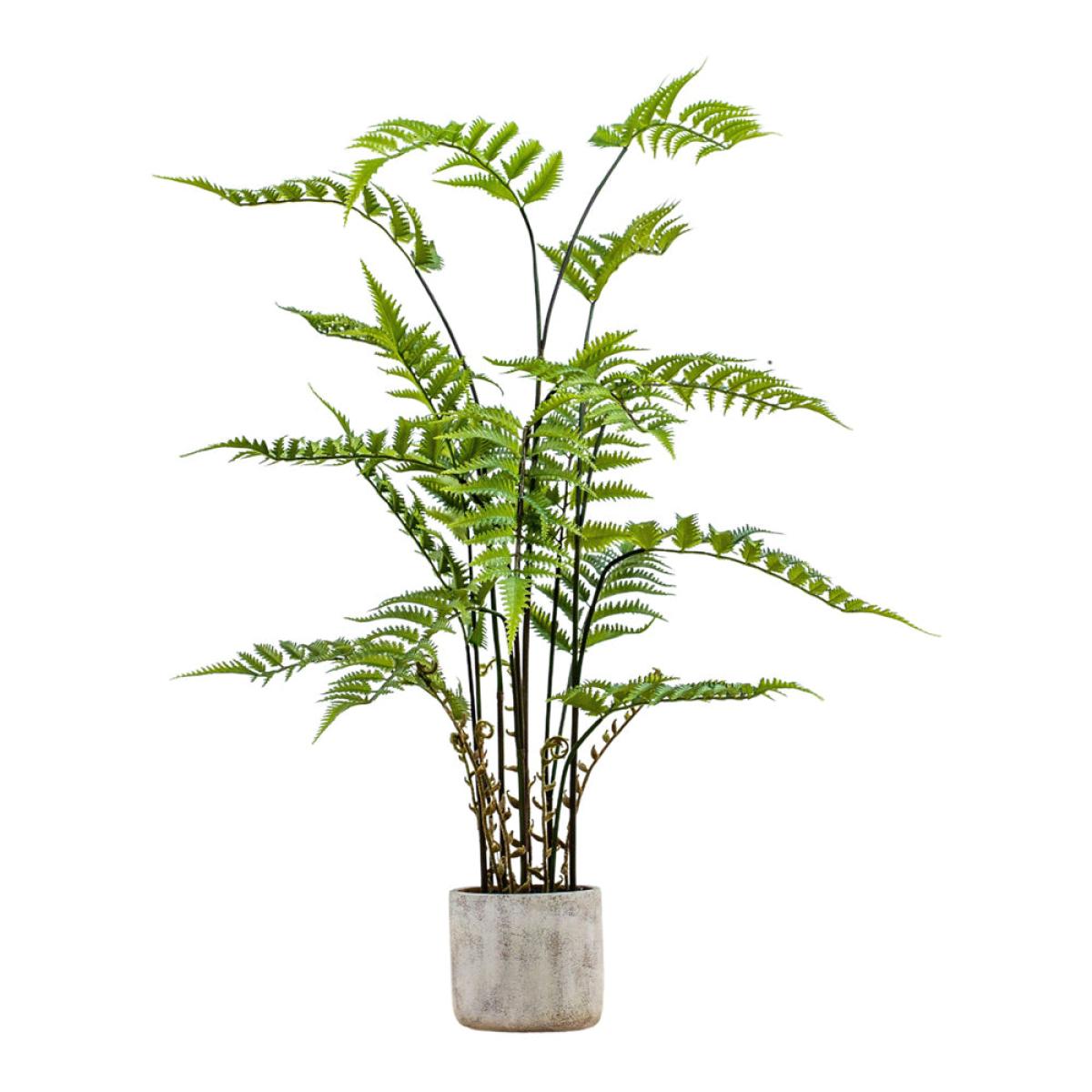 Gallery Interiors Kambiz Potted Fern in Cement Faux Plant Cream And Green / Small – image 4