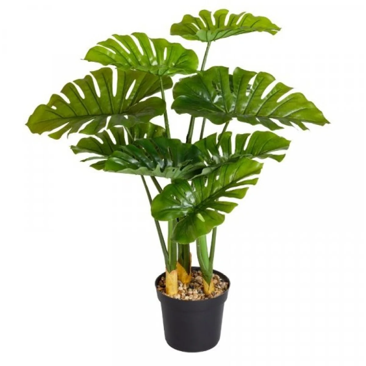 Smart Garden Swiss Cheese Artificial Plant – image 2