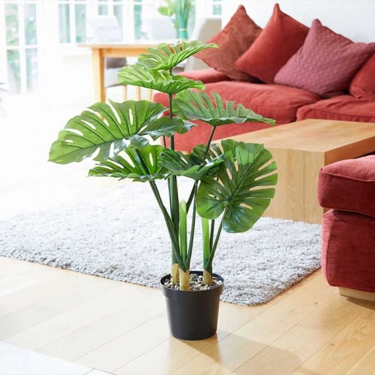 Smart Garden Swiss Cheese Artificial Plant – image 1