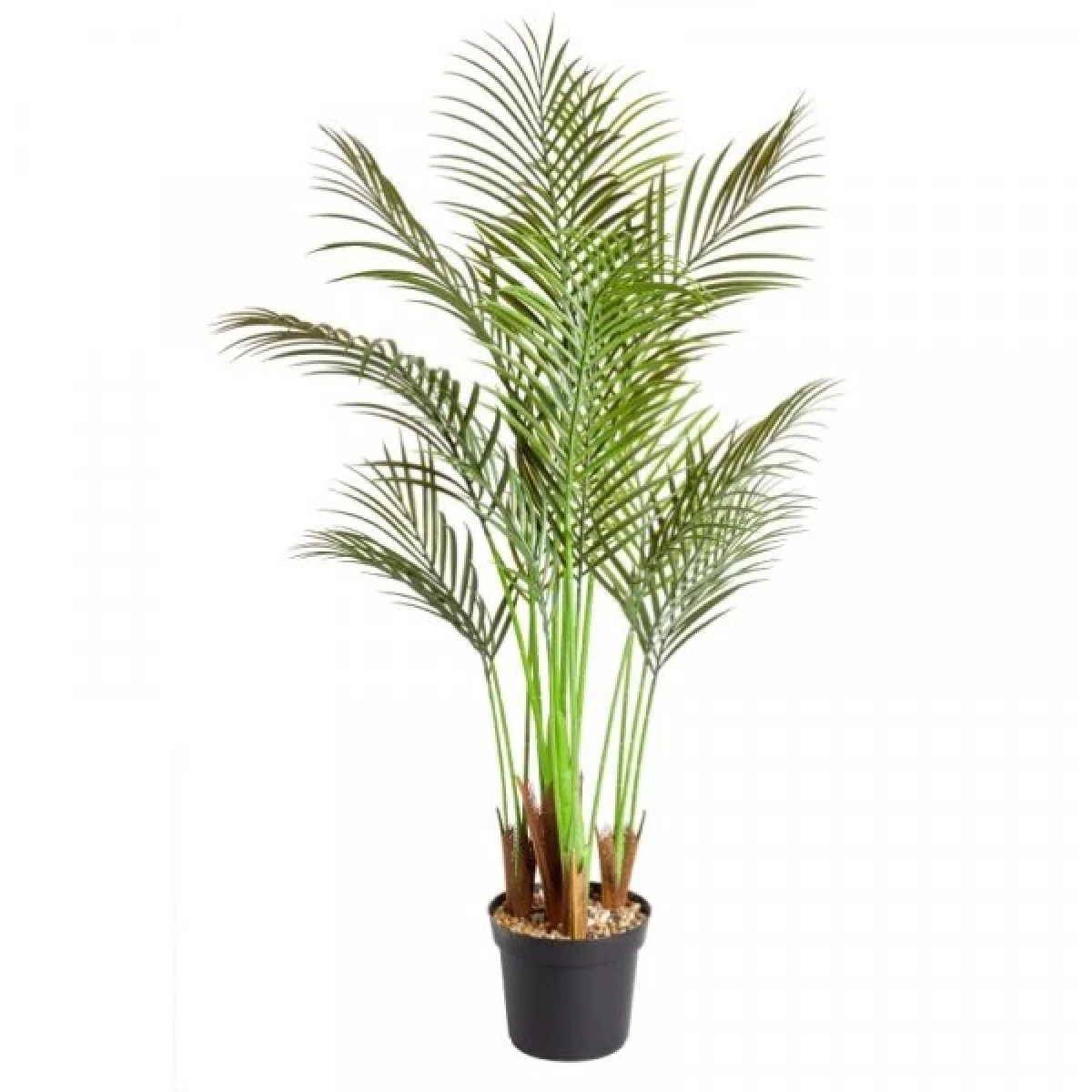 Smart Garden Phoenix Palm Artificial Plant – image 2