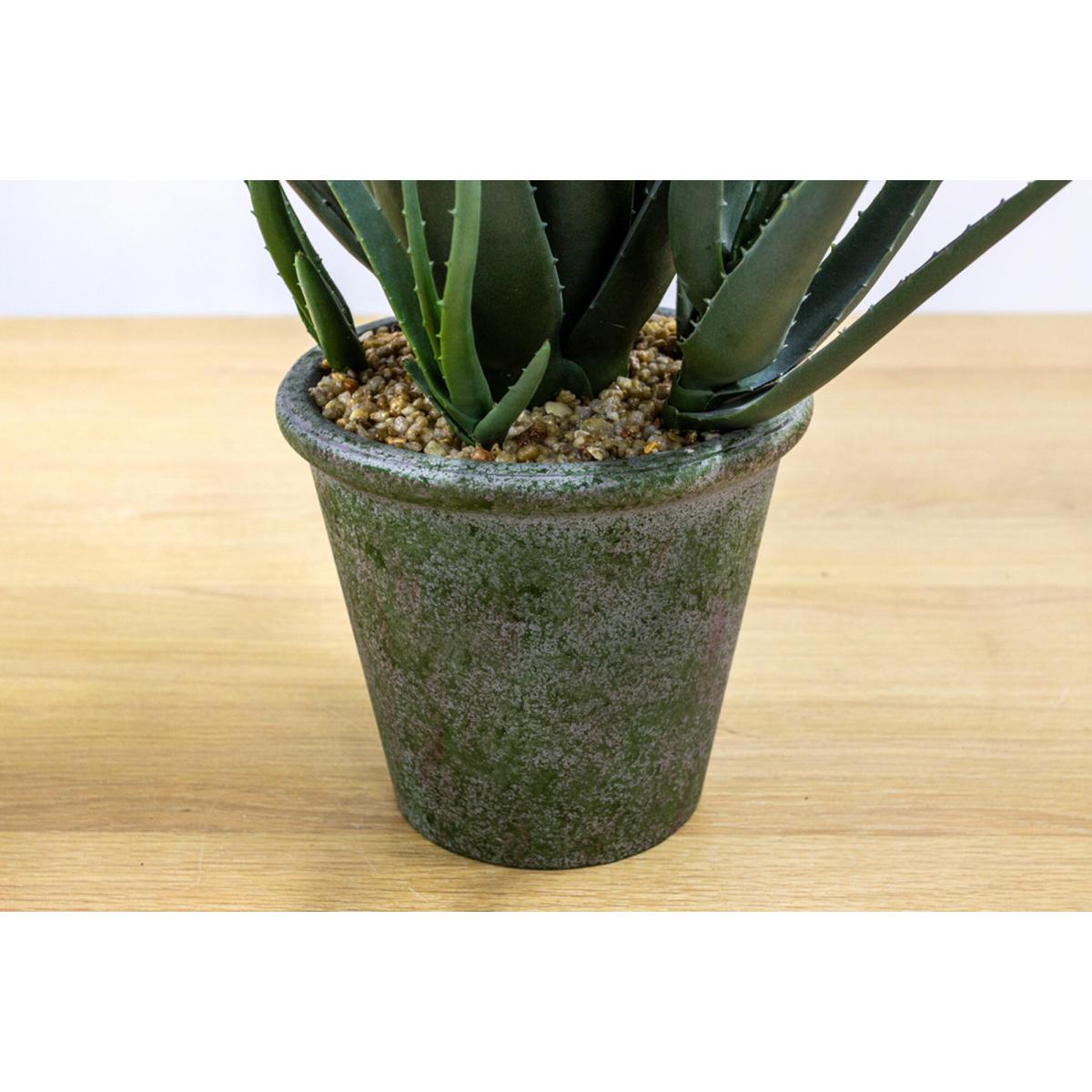 Isla Faux Aloe with Flowers in Tonal Pot Small – image 2