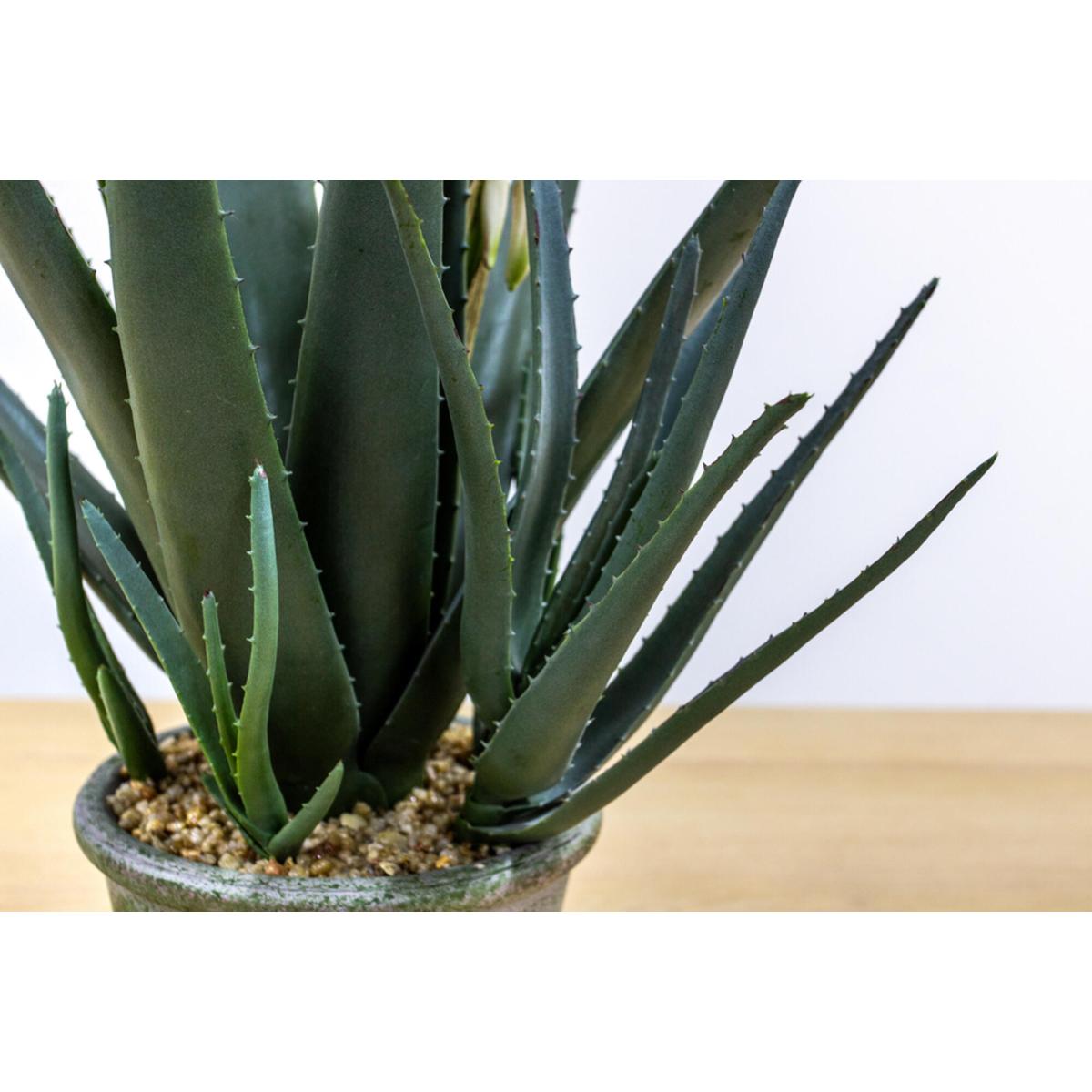 Isla Faux Aloe with Flowers in Tonal Pot Small – image 3