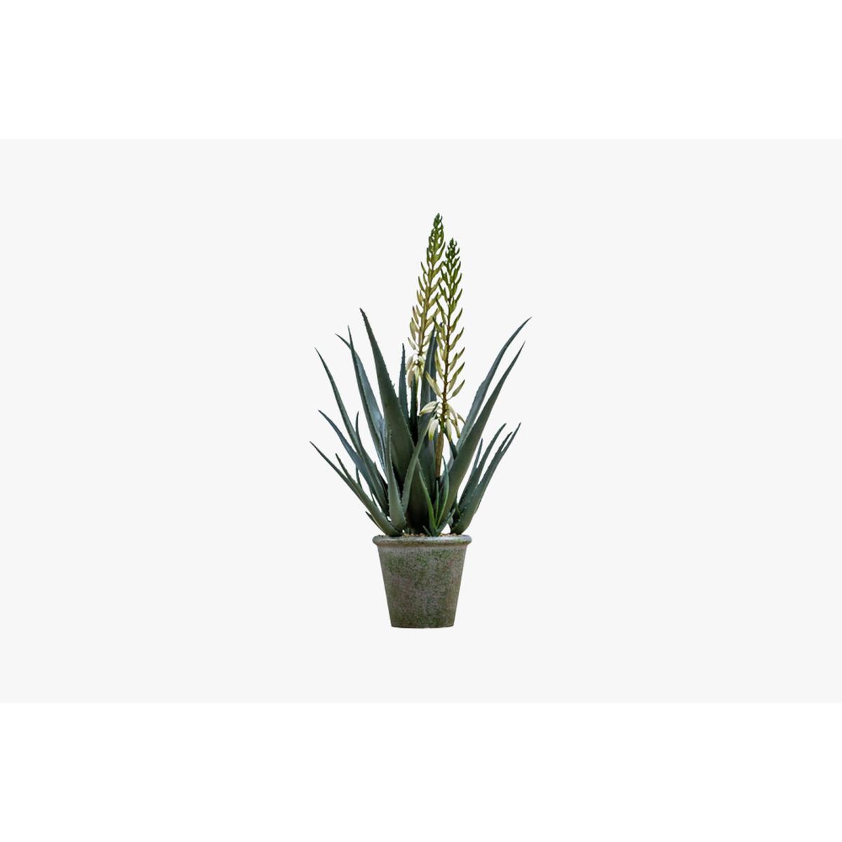 Isla Faux Aloe with Flowers in Tonal Pot Small – image 4