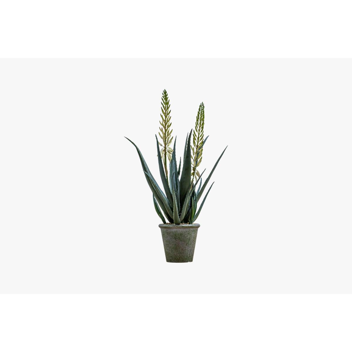 Isla Faux Aloe with Flowers in Tonal Pot Small – image 5