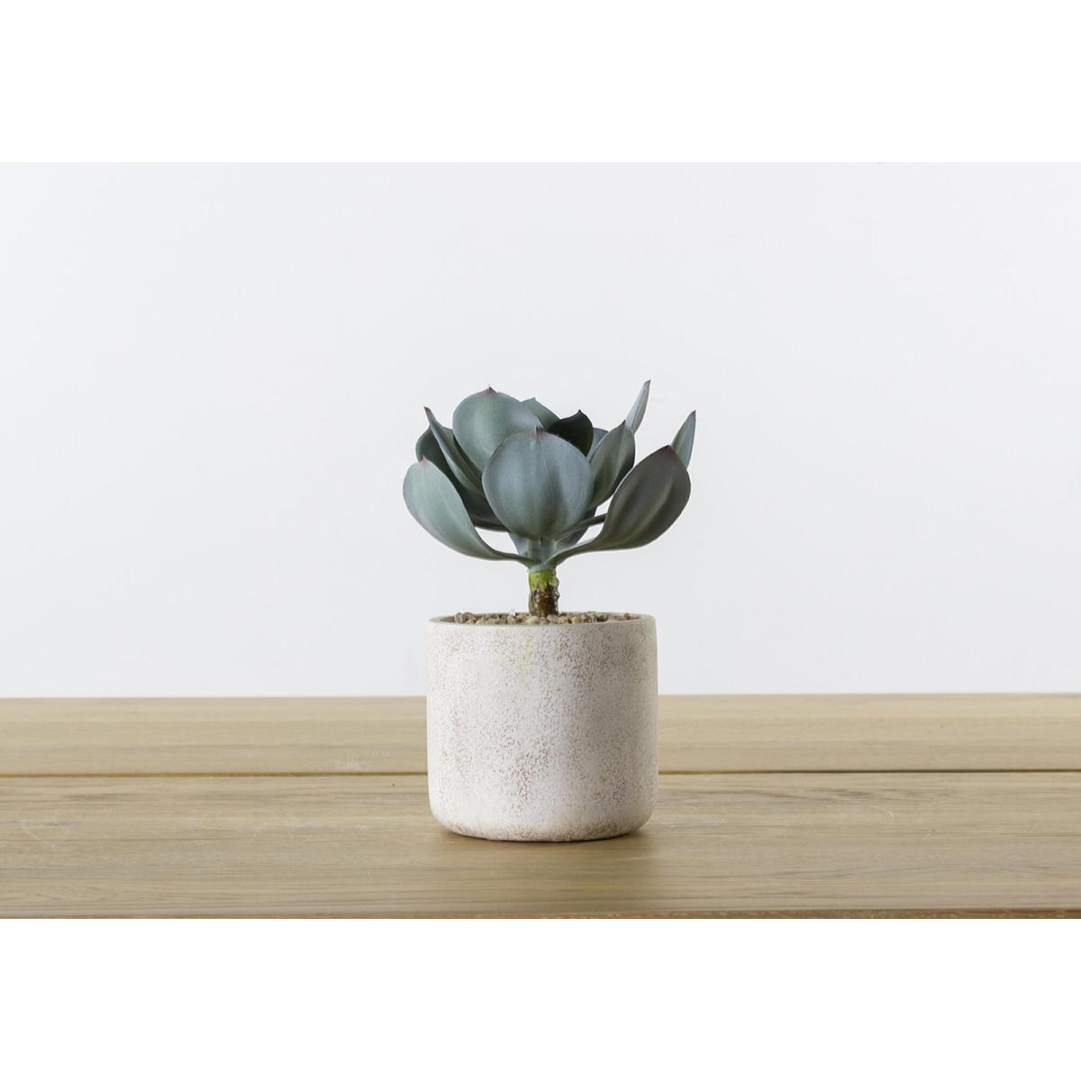 Faux Echeveria in Rustic Pot – image 1