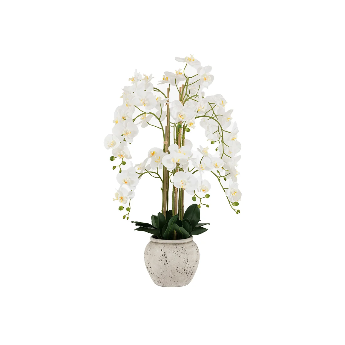 Faux Real Touch Orchid in Cement Style Pot in White – image 1