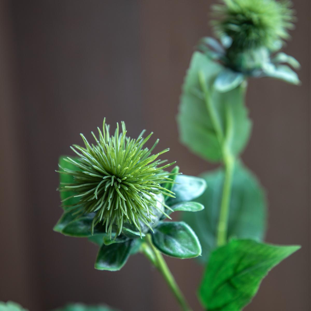 Faux Green Thistle Stem, Set of 12 – image 3