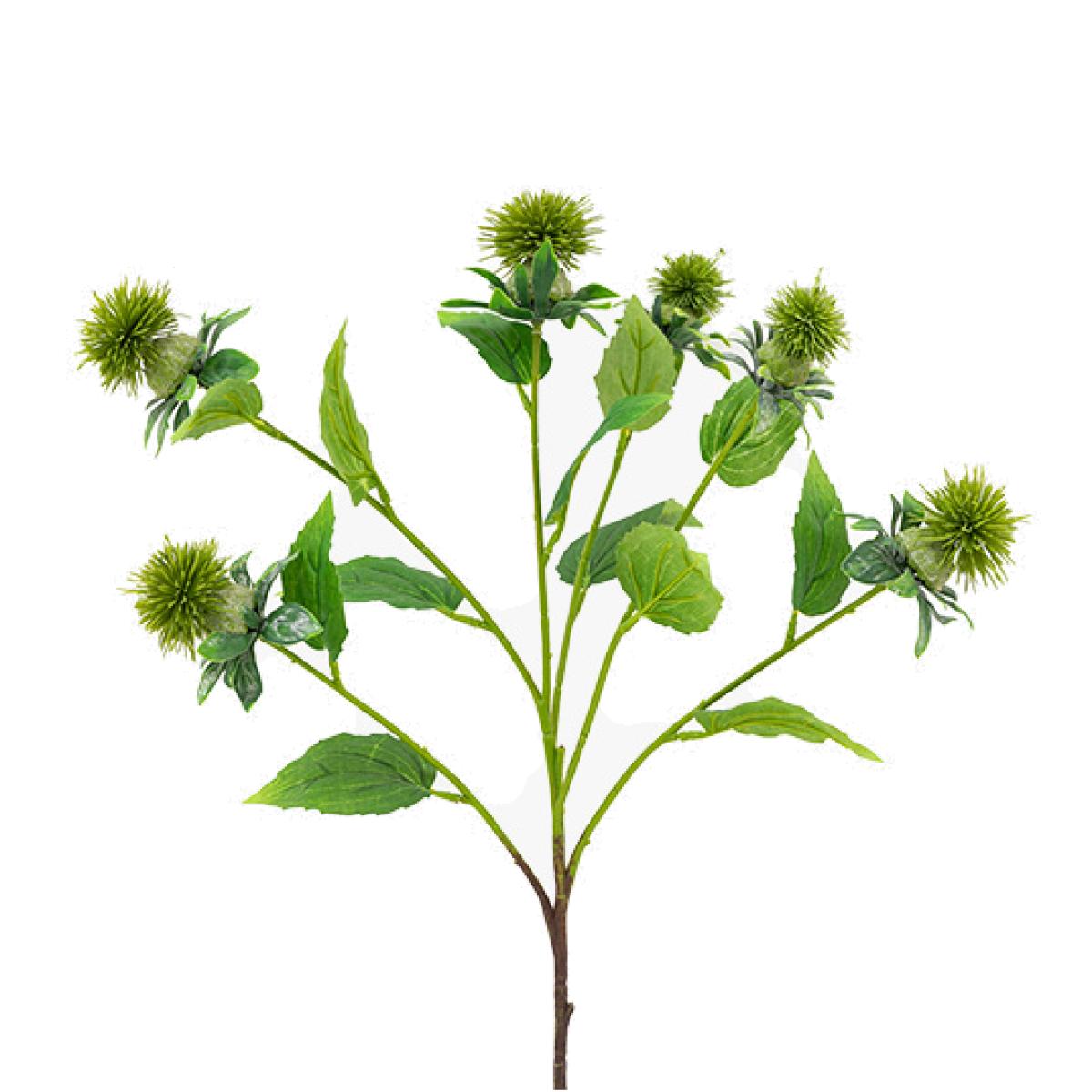 Faux Green Thistle Stem, Set of 12 – image 1