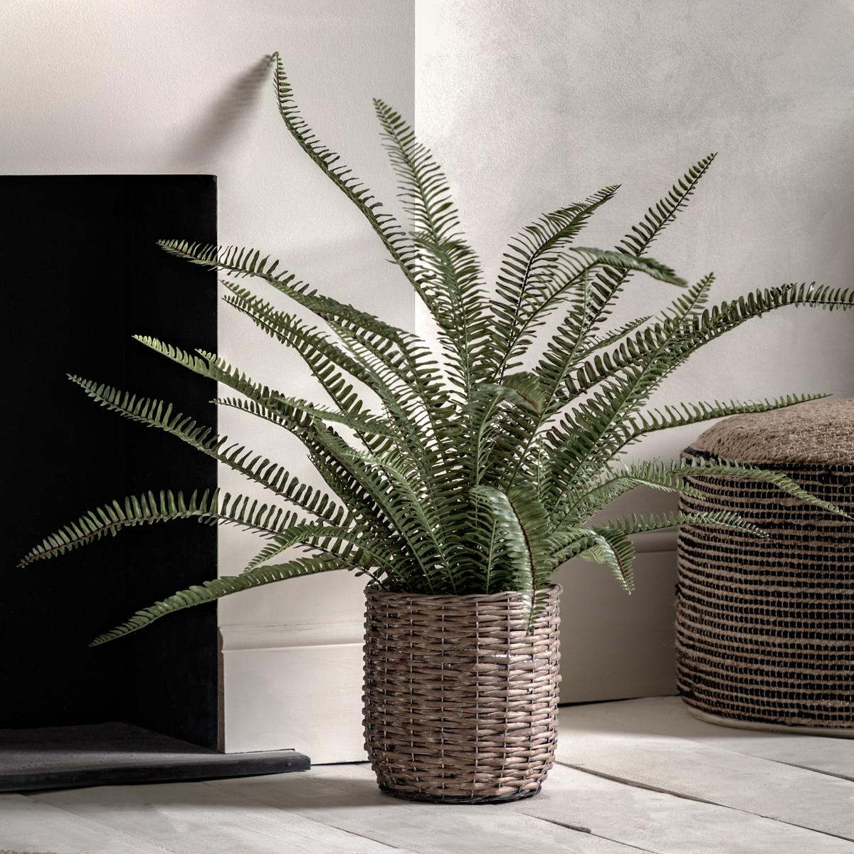 Solana Rattan Potted Fern Plant, Large – image 2