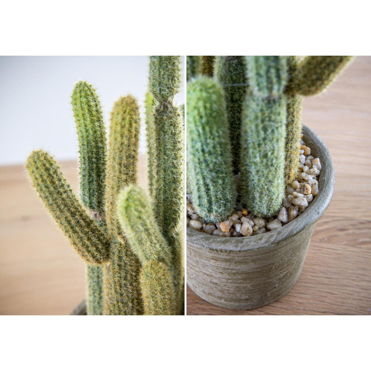 Faux Carnegiea Cactus in Tonal Pot, Small – image 3
