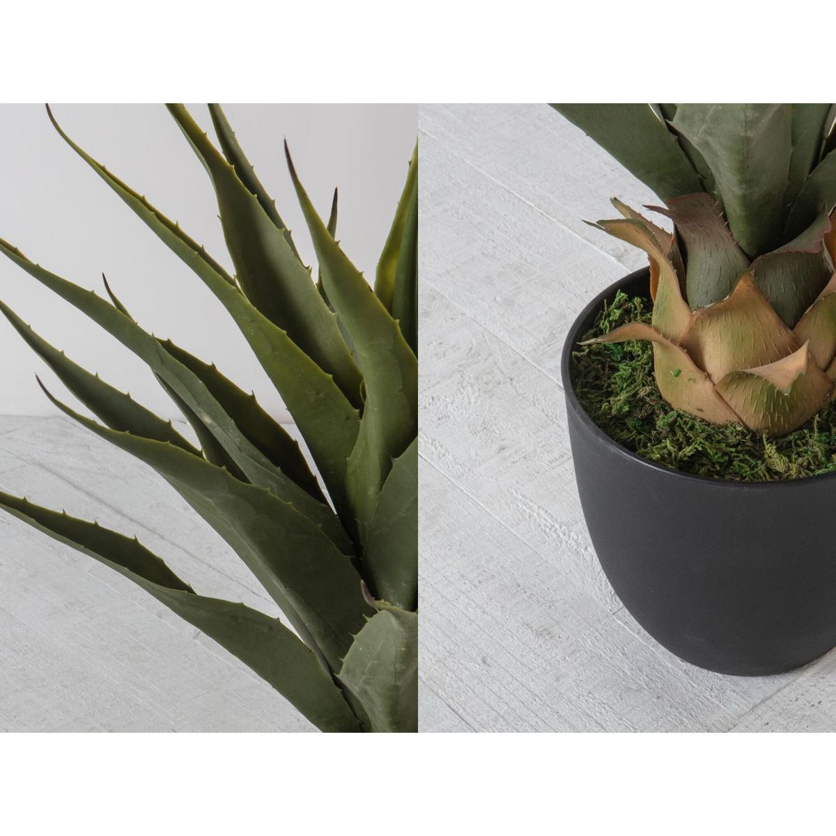Faux Large Agave – image 3