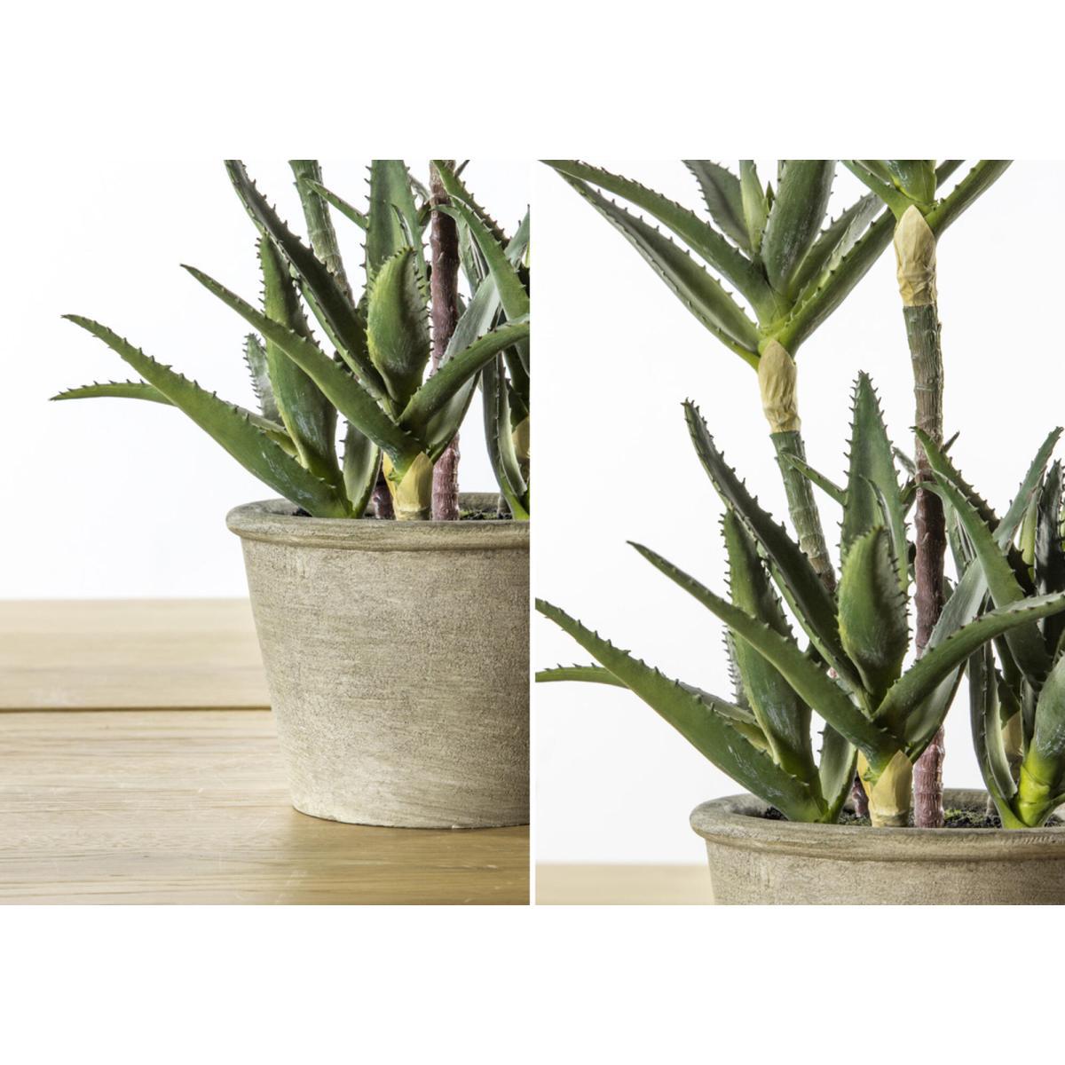 Faux Potted Aloe – image 3
