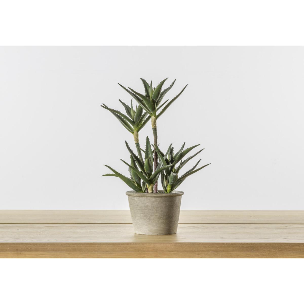 Faux Potted Aloe – image 1