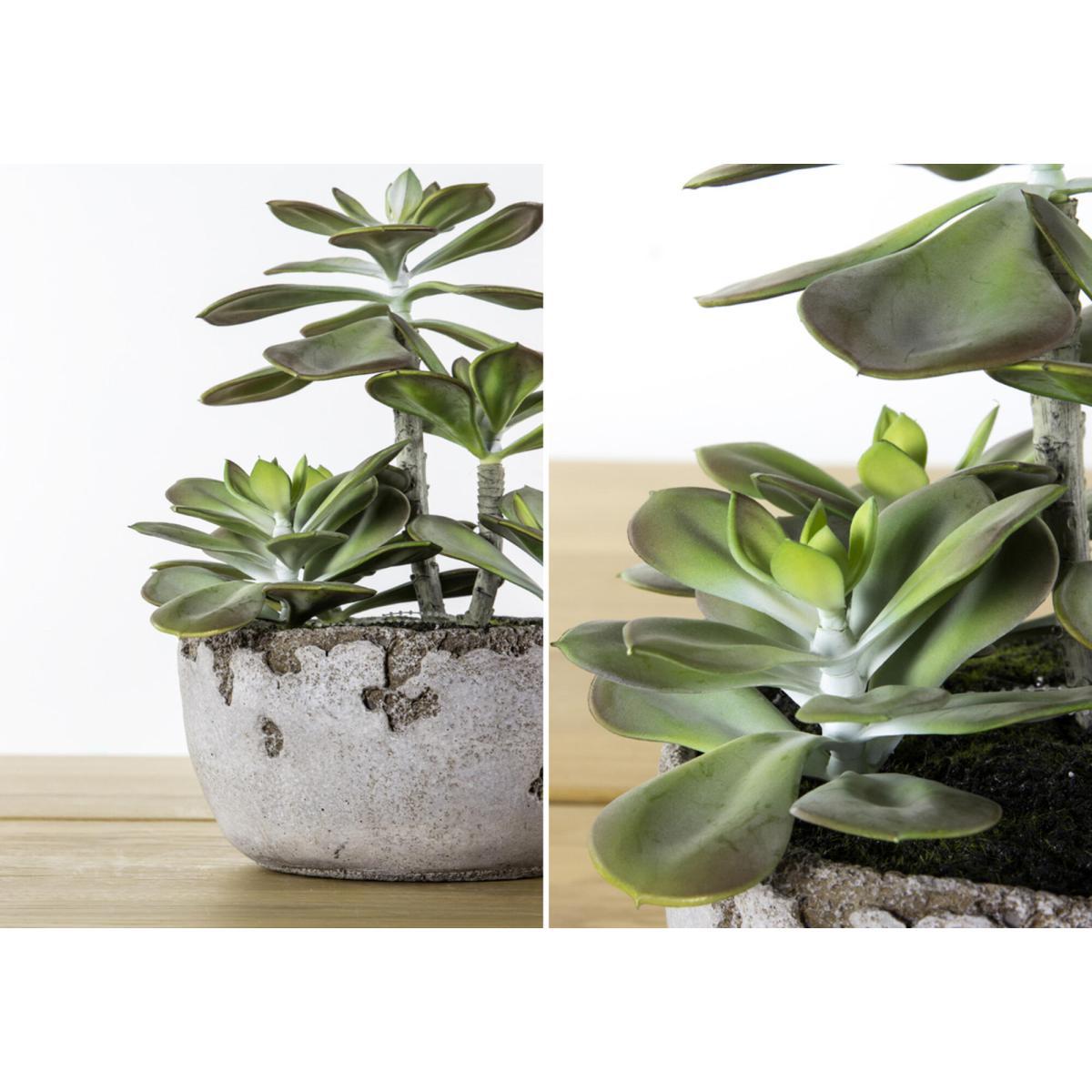 Faux Potted Kalanchoe, Medium – image 3