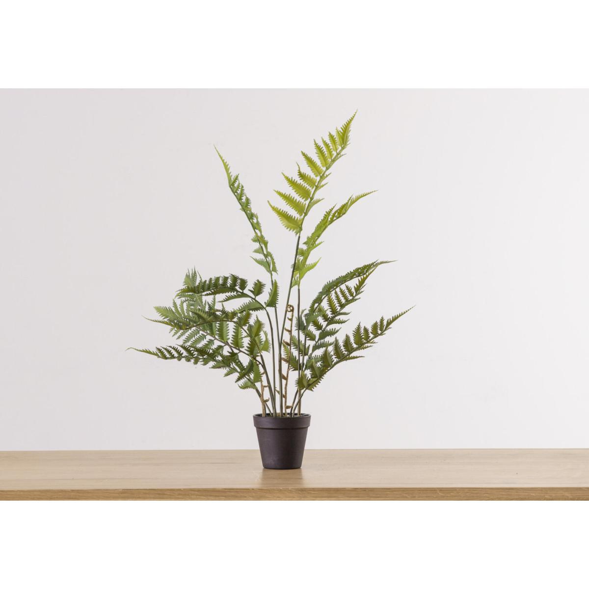Faux Potted Fern Bracken, Medium – image 1