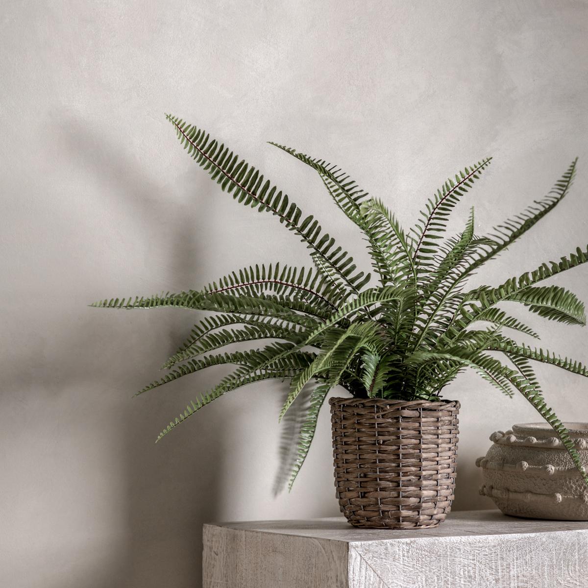 Solana Rattan Potted Fern Plant, Small – image 2