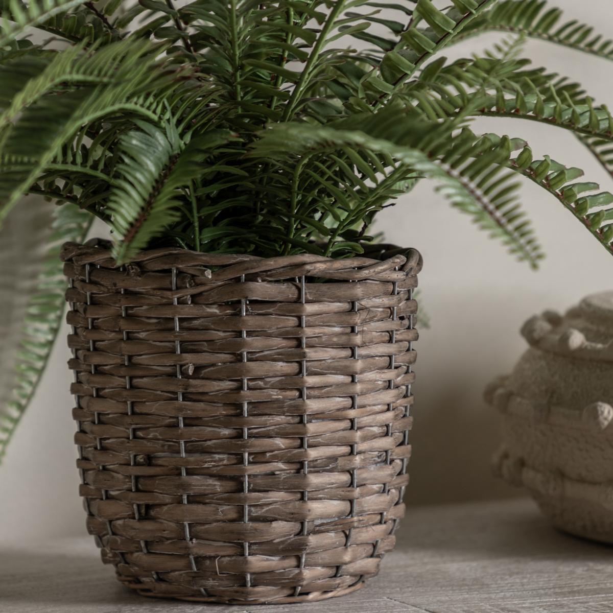 Solana Rattan Potted Fern Plant, Small – image 3