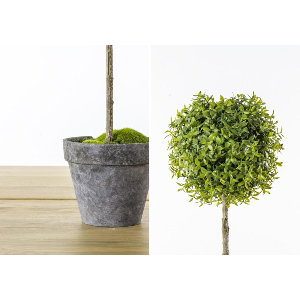 Faux Potted Tea Tree – image 3