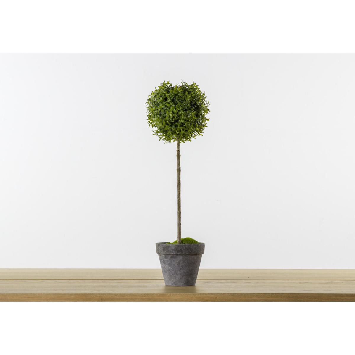 Faux Potted Tea Tree – image 1
