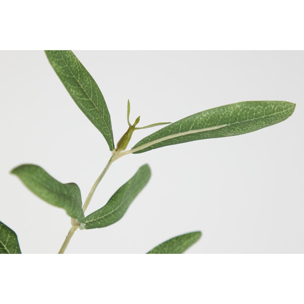 Solana Faux Olive Branch in Green Set of Six – image 2